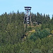 Turm im Wald