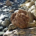 Varietà di rocce