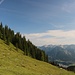 Schwaderalm, dahinter das Rofangebirge