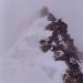 Der oberste Gipfelgrat vom P.3998m zum Gipfel. Von hier ist es nur noch einfaches Gehgelände, auch wenn es auf dem Foto steiler aussieht.
