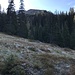 Schon oberhalb des Waldes. Erster Blick auf den NW-Grat der Schneegrubenspitze.
