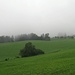 Das schöne am Regen ist, dass das Grün der Wiesen zur Geltung kommt..