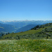 Die Bergmähder bei Sadrein bieten einen herrlichen Ausblick über den Prättigau.