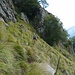 Abstiegsweg - hohes Gras, Schrofen, Nässe