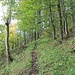 Burgweg