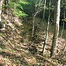 Mühlgrabenrest