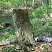 Hüttmesgrün, Wegbegrenzungsstein