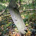 Hüttmesgrün, Wegbegrenzungsstein