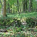 Hüttmesgrün, Siedlungsplatz