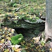 Hüttmesgrün, Brücke zur einstigen Schule
