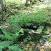 Hüttmesgrün, Zisterne