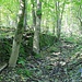 Hüttmesgrün, Dorfstraße