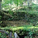 Hüttmesgrün, Bassin/Feuerlöschteich