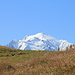Der Mont Blanc taucht auf (Col de Balme)