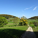 nach einem weiten Sattel geht es wieder hinauf in den Wald (hier wieder ein Rückblick)