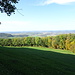 aussichtsreiche Querung am unteren Waldrand