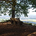 Fuchseck 761 m mit Bank