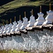 Schön ist die Außenmauer des Klosters.