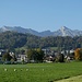 Auf dem Weg nach Eschen habe ich diese Störche beim Futtersuchen  gesehen.<br />Bei Bendern machte ich dann den Grenzübertritt in die Schweiz ...