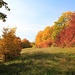 Herbstlandschaft