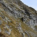 il traverso erboso che riconduce dalla cresta al centro del vallone sotto le fasce rocciose 