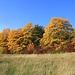 Herbstlandschaft