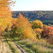 Herbstlandschaft