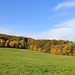 Herbstlandschaft