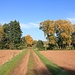 Herbstlandschaft