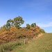 Zugang zur Burg