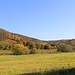 Herbstlandschaft, links abgestorbener Nadelwald