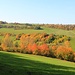 Herbstlandschaft