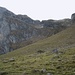 Der abwechslungsreiche Aufstieg über das Heuzingeli. Links ist das Hohliecht (2102m).