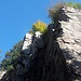Klettergarten