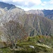 Colori d'autunno
