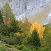Autumn colors during the ascent.
