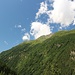Hochblicke