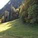 Beim Zaundurchlass beginnt der Weg zur Tellenfadlücke. Im Wald muss man etwas absteigen, um das Sturmholz zu umgehen.