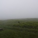 Gipfelfoto Stübenwasen ( 1386m )