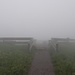 Zum ersten mal im Nebel auf dem höchsten Punkt in Baden - Württemberg
