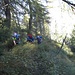 Camminando tra i larici nel ripido bosco tra l’Alpe Pieso e l’alpe Nava, dopo aver ritrovato il sentiero.