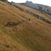 Die gut gelegte Spur führt in Serpentinen den steilen Grashang (Westflanke des Sandegg) hinab. Vorsicht bei Nässe!!