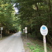 Unterwegs zwischen St. Veit (Velem) und dem St. Veit-Berg (Szent Vid-hegy) - Zwischendurch geht's ein nochmals ein kurzes Stück entlang einer Straße.