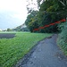 Von P 479 kommend ist bei diesem Baum der Einstieg in die „pinke“ Variante entlang des Steinbruchs.