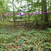 In diesem Kessel endet der cyanblaue Weg unvermittelt. Einfach Richtung Westen weiterlaufen, dann gelangt man auf der Abbruchkante auf den violetten Weg.