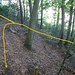 Blick zurück auf die Abzweigung