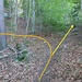 Die Linkskurve der orangenen Variante ist kaum zu sehen. Am ehesten kann man sich vielleicht an dem kleinen Erdhaufen links vom Weg und rechts von dem Baum orientieren sowie die etwas dichtere Vegetation durch die sich der gelbe Weg begibt.