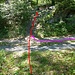Zusammenkunft von roter und violetter Variante auf dem Waldweg.