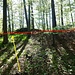 Hier trifft der gelbe Weg auf die rote Variante.