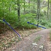 Von den Diebslöchern kommend mit Blickrichtung Norden: der Einstieg in die blaue Variante Richtung Ellhorn ist hinter dem Baum. Gestrichelt blau: eine fast zugewachsene „Abkürzung“.